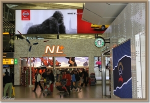 Schiphol