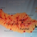 0809 Madeira - 001 - Map