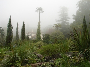 0809 Madeira - 069 - Palheiro Gardens Funchal