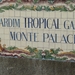 0809 Madeira - 252 - Jardim Tropical Monte Palace (Funchal)