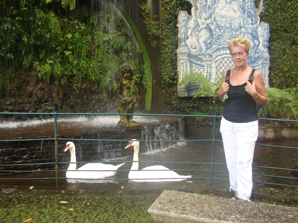 0809 Madeira - 285 - Jardim Tropical Monte Palace (Funchal)