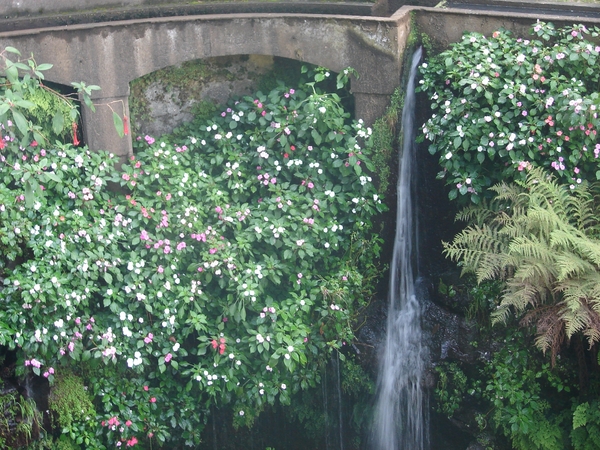 0809 Madeira - 288 - Jardim Tropical Monte Palace (Funchal)