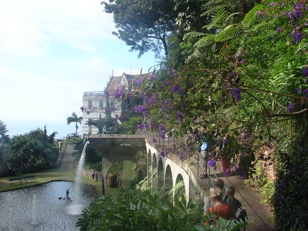 0809 Madeira - 289 - Jardim Tropical Monte Palace (Funchal)