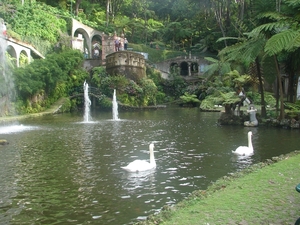 0809 Madeira - 292 - Jardim Tropical Monte Palace (Funchal)