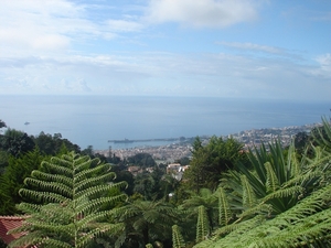 0809 Madeira - 298 - Jardim Tropical Monte Palace (Funchal)