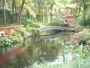 0809 Madeira - 305 - Jardim Tropical Monte Palace (Funchal)