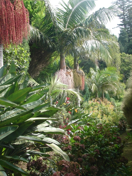 0809 Madeira - 313 - Jardim Tropical Monte Palace (Funchal)