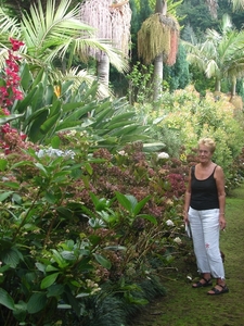 0809 Madeira - 314 - Jardim Tropical Monte Palace (Funchal)