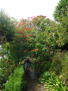 0809 Madeira - 320 - Jardim Tropical Monte Palace (Funchal)