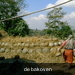 PICT0166