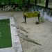 PICT0250
