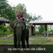 PICT0266