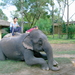 PICT0268