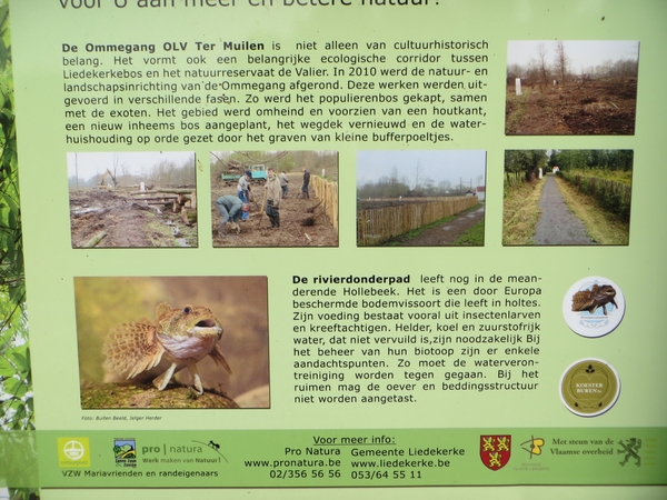 2013-09-21 Liedekerke 005