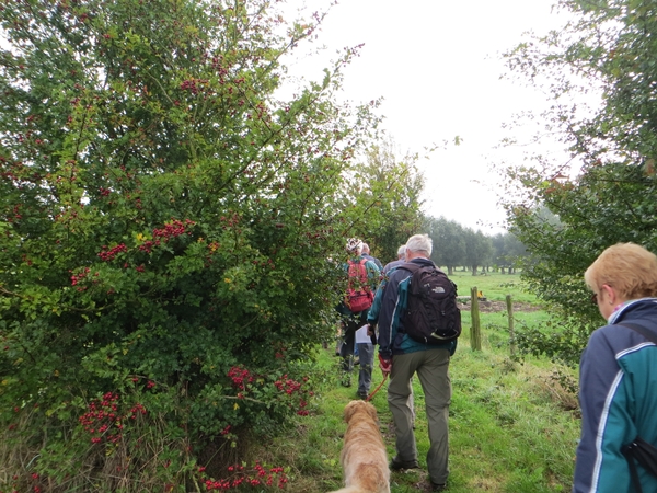 2013-09-21 Liedekerke 009
