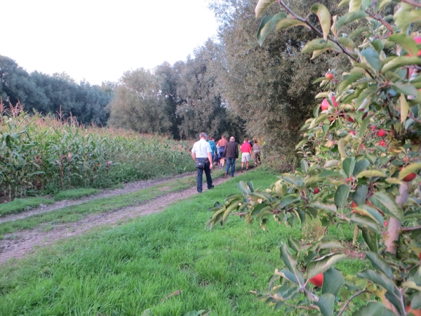 2013-09-24 Baardegem 004