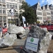 IMG_9736 (Small)