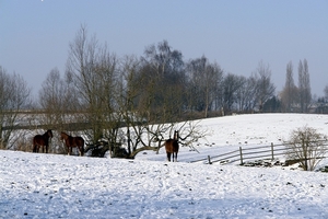 Sneeuw 2 022_bewerkt-1