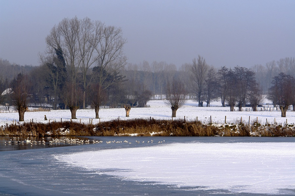 Sneeuw 2 032_bewerkt-2