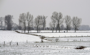 Sneeuw 059_bewerkt-4
