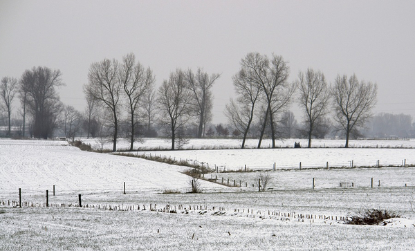 Sneeuw 059_bewerkt-4