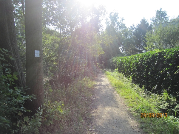 wandeling in Brasschaat 29-9-2013 002
