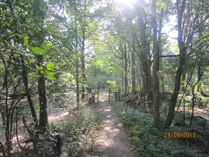 wandeling in Brasschaat 29-9-2013 003