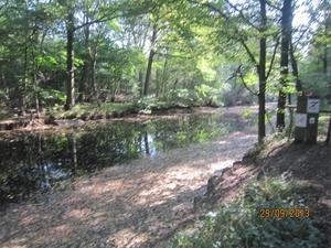 wandeling in Brasschaat 29-9-2013 004