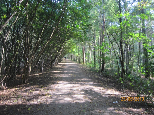 wandeling in Brasschaat 29-9-2013 022