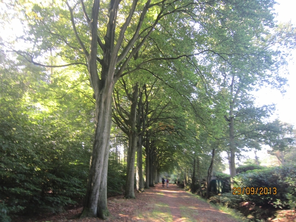 wandeling in Brasschaat 29-9-2013 024