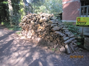 wandeling in Brasschaat 29-9-2013 035