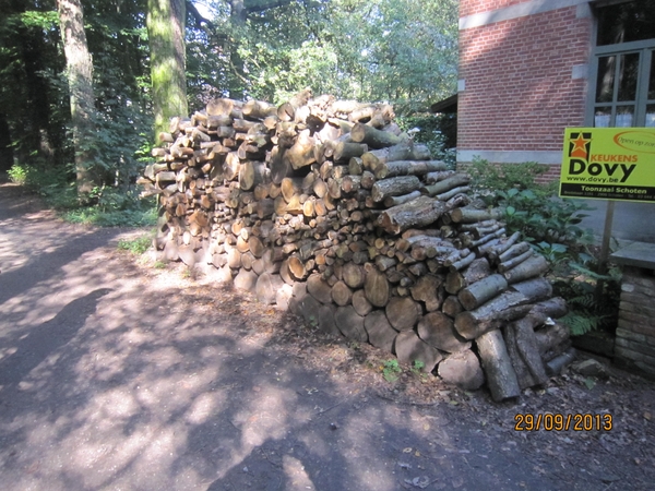 wandeling in Brasschaat 29-9-2013 035