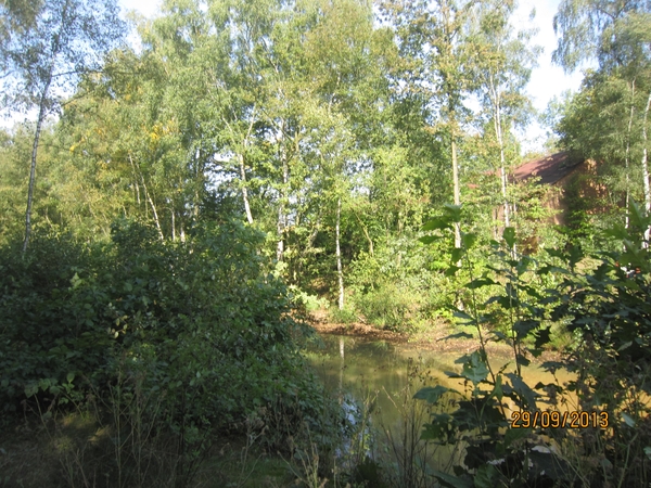 wandeling in Brasschaat 29-9-2013 042