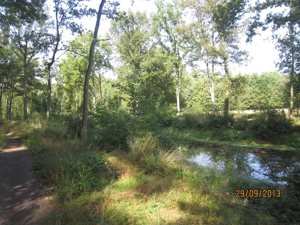 wandeling in Brasschaat 29-9-2013 055
