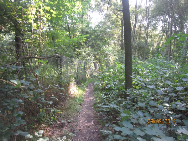 wandeling in Brasschaat 29-9-2013 056