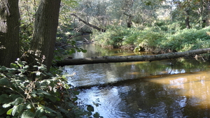 het riviertje de Swalm