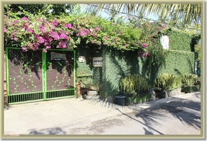Taman Melati
