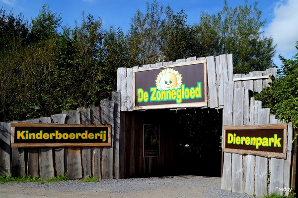 Dierenpark-Zonnegloed