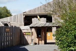 Dierenpark-Zonnegloed