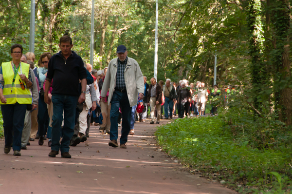 Wandelcriterium - 3 oktober 2013