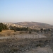 2b Jerash _ovale forum