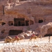 4  Petra _site 7