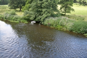 de ourthe