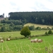 ardennen