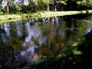het kanaal van Beverlo