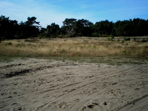 en langs
