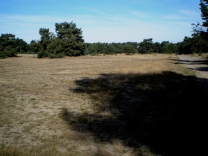 het warme zand van .