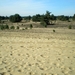 de Keiheuvel