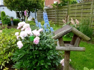 Voederhokje