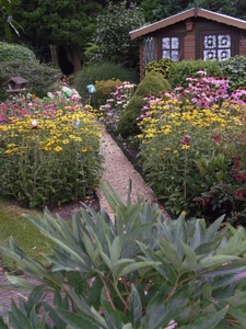 Een zomers tuinpad